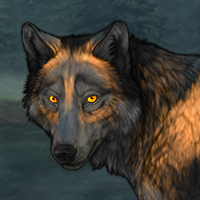 Wolf Headshot