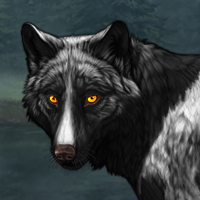 Wolf Headshot