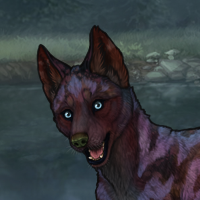 Blueschist chase Headshot