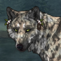 Janja Headshot