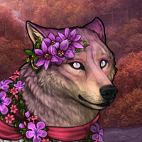 Wolf Headshot