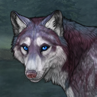 Snowberry Winterwolf Headshot