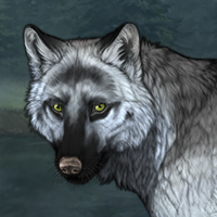 Wolf Headshot