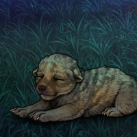 New Puppy Headshot