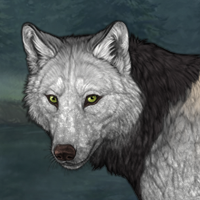 Wolf Headshot