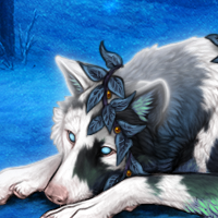 Wolf Headshot