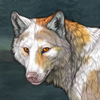 4: Meztli - Piebald Headshot