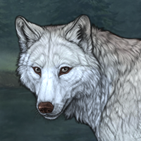 Wolf Headshot