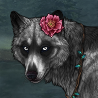 Nepheline  chase4r Headshot