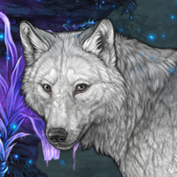 Wolf Headshot