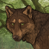 Wolf Headshot