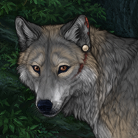 Okami Headshot