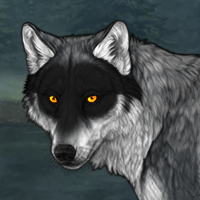 Wolf Headshot