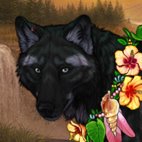 Wolf Headshot
