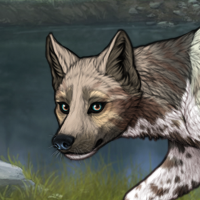 Piebald future scout Headshot