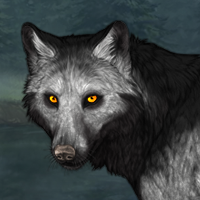 Wolf Headshot