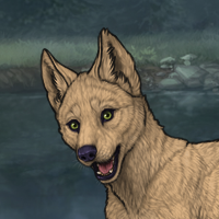 Enclave Puppy Headshot