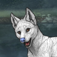 Sprigg - Pupsitter Headshot