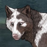 ✨T2 Piebald Uneven Headshot