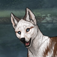 Husky Argent Evaea KEEP Headshot