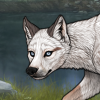 Husky Argent Evaea KEEP Headshot