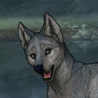 ((Pup))Fodder Headshot