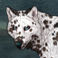 G3 Female Dalmation Headshot