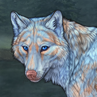 Fir Headshot
