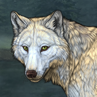 Wolf Headshot