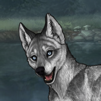 Striped Flint Husky Fin Headshot