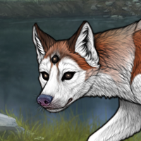 ((Pup))Melchior; 6M Headshot