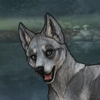 Spirit enclave pup??? Headshot