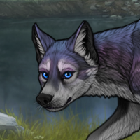 Aurora Borealis Headshot