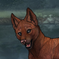 MALE RUNT PUP Headshot