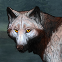 Wolf Headshot