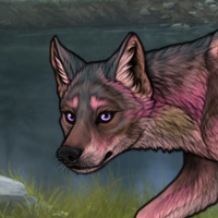 Anteia Pup 1 (hunter) Headshot