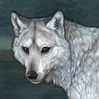 (3) SilverCoat Headshot