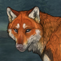 Foxflight Headshot