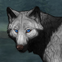 Wolf Headshot