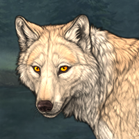 Wolf Headshot