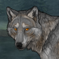 Wearywolf Headshot