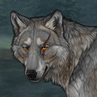 Wearywolf Headshot