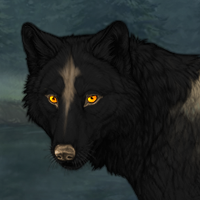 Wolf Headshot