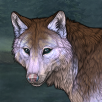 Feldspar Male Headshot