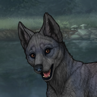 GreyFang Headshot