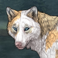 Foxspark Headshot