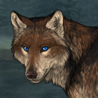 Wolf Headshot