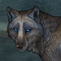 Bluesplash Headshot