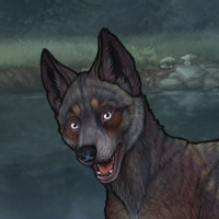 BLUESCHIST Headshot