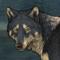 Wolf Headshot